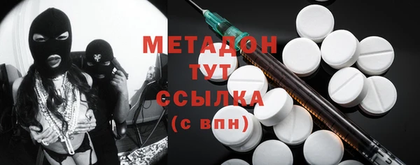 индика Приозерск