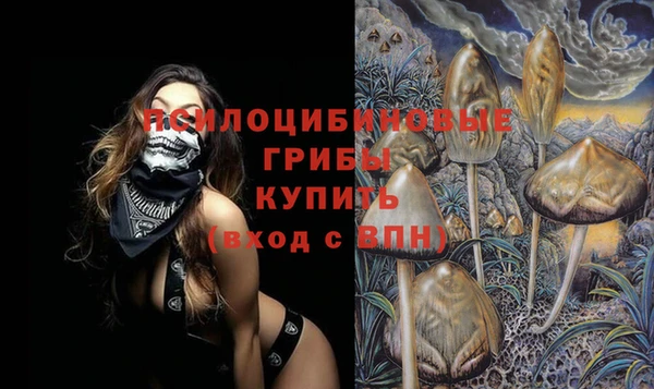 спиды Алзамай