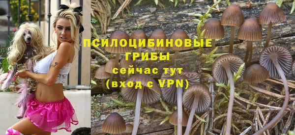прущие крисы Алексин