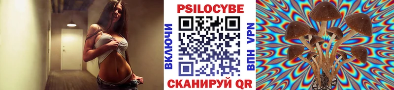 Галлюциногенные грибы Psilocybine cubensis  наркошоп  Клин 
