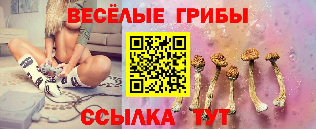 Псилоцибиновые грибы Magic Shrooms  Галлюциногенные грибы ЛСД  Вход с VPN  даркнет сайт  Клин 